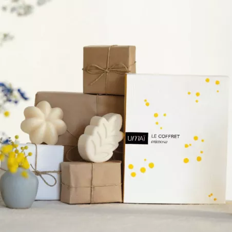 Le coffret Mimosa Shampoing Doux & Soin Lavant
