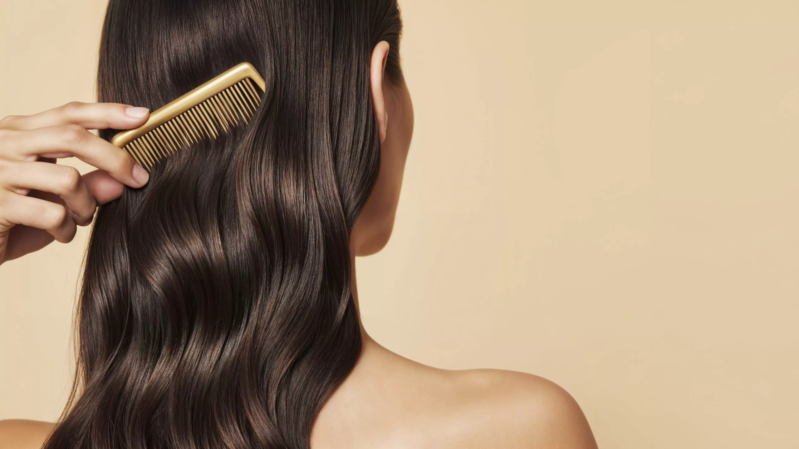 Brosse & accessoires