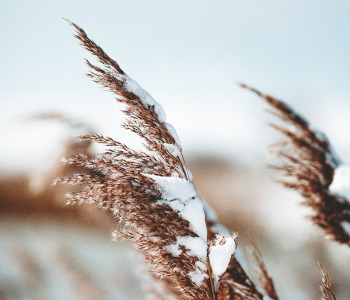 Alerte grand froid ! Notre peau passe en mode hiver !